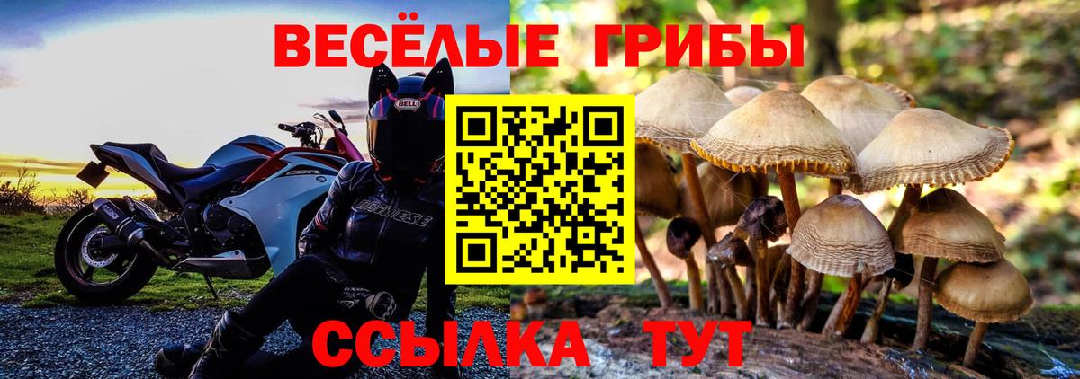 Галлюциногенные грибы прущие грибы Саянск