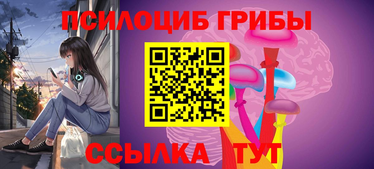 цены наркотик  Вход с VPN  Саянск  Псилоцибиновые грибы мухоморы 